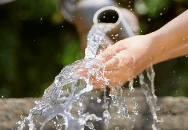 qualité de l'eau qui est responsable ?